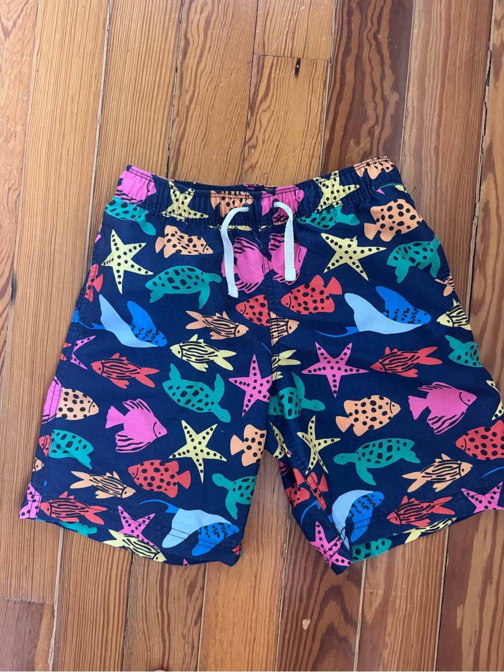 Hanna Andersson Multicolor Sea Life Swim Shorts